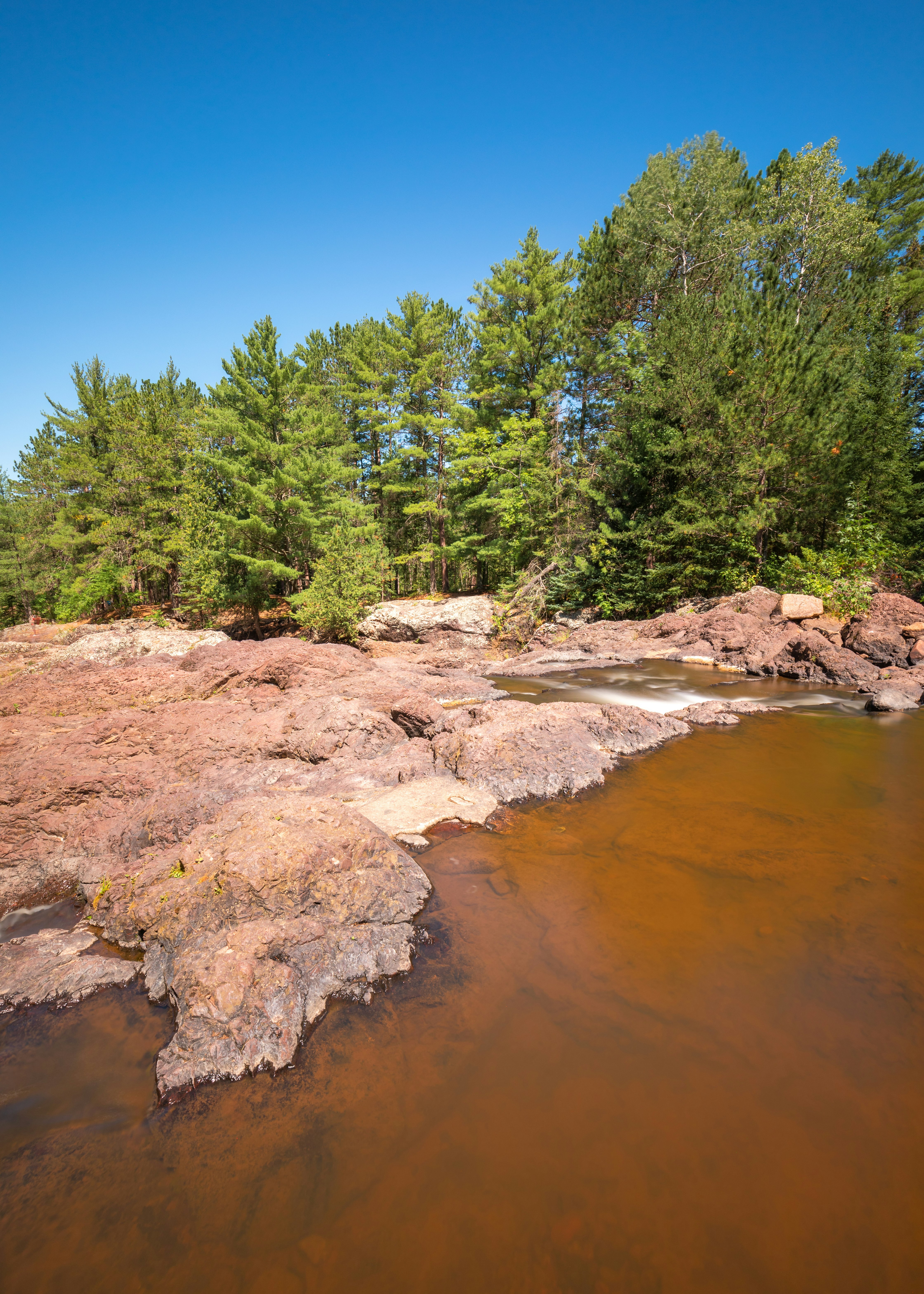 green trees beside river under blue sky during daytime